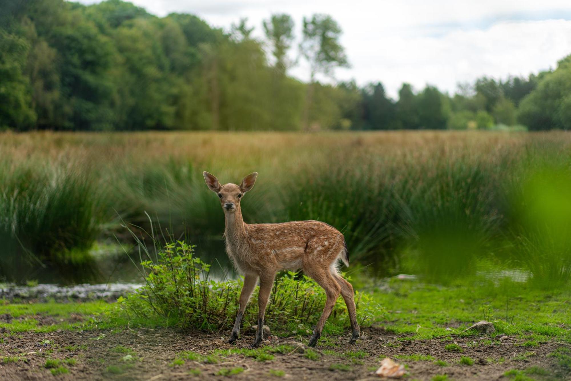 Vakantie-Hengelhoef Aan de Wolfsberg 外观 照片